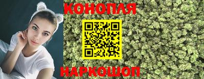 mdpv Кингисепп