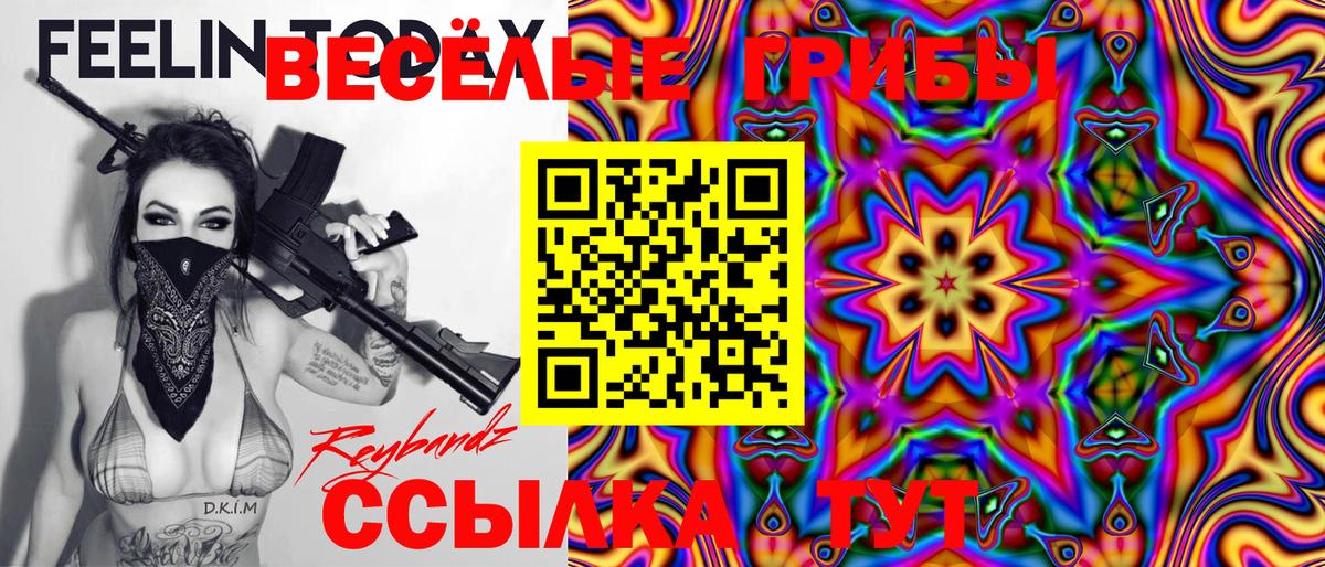 Галлюциногенные грибы Psilocybe Мытищи