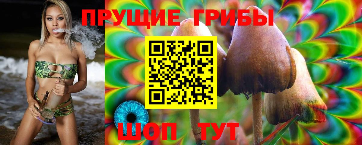 Галлюциногенные грибы Psilocybine cubensis  Вход с VPN  Мытищи 